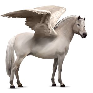 Pegasus PNG    图片编号:24982