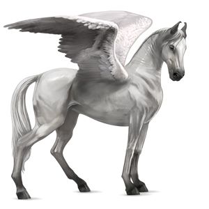 Pegasus PNG    图片编号:24987
