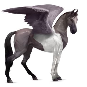 Pegasus PNG    图片编号:24988