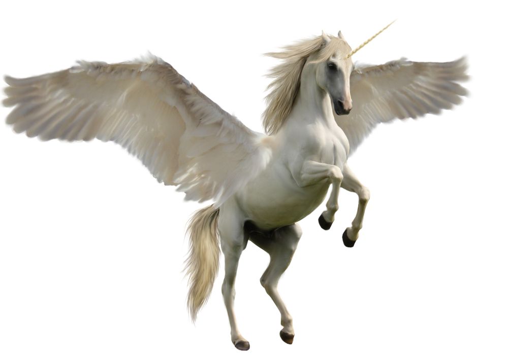 Pegasus PNG    图片编号:24995