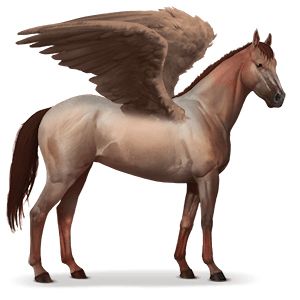 Pegasus PNG    图片编号:24997