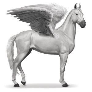 Pegasus PNG    图片编号:24999