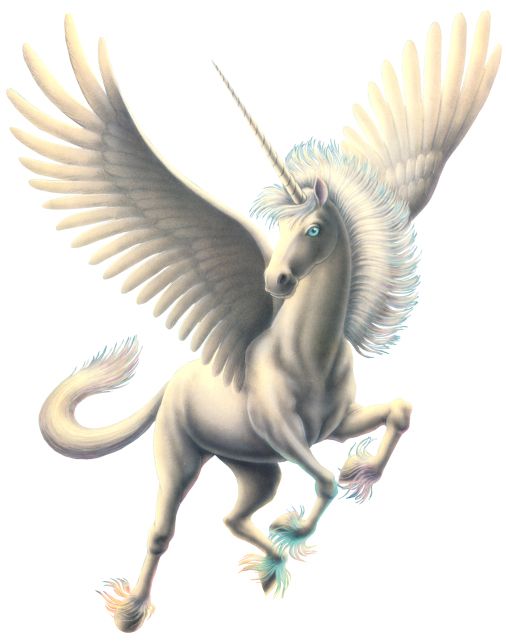 Pegasus PNG    图片编号:25005