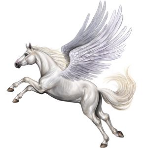 Pegasus PNG    图片编号:24963