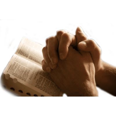 Praying hands PNG    图片编号:86375