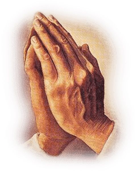 Praying hands PNG    图片编号:86408