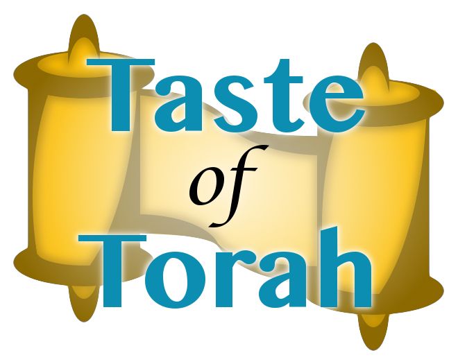Torah PNG    图片编号:65047