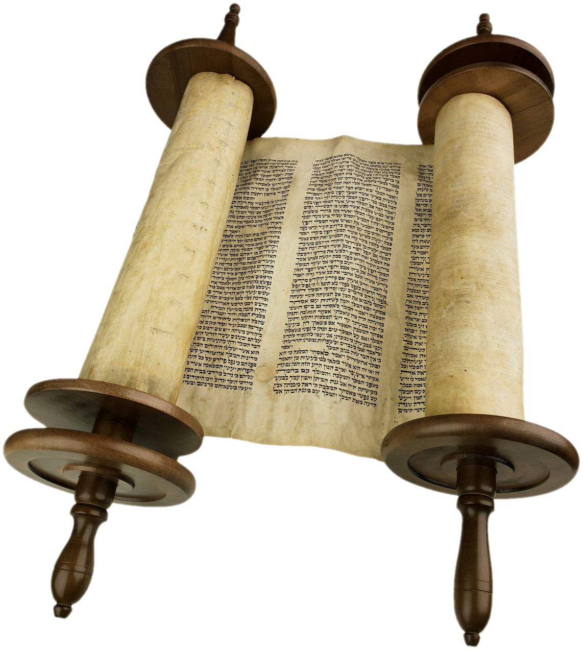 Torah PNG    图片编号:65049