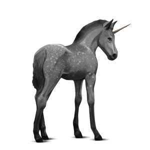 Unicorn PNG    图片编号:24896