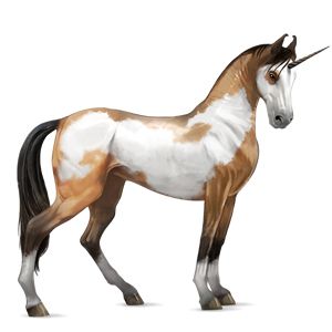 Unicorn PNG    图片编号:24914