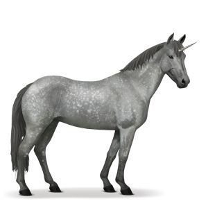 Unicorn PNG    图片编号:24938