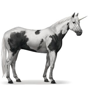 Unicorn PNG    图片编号:24942