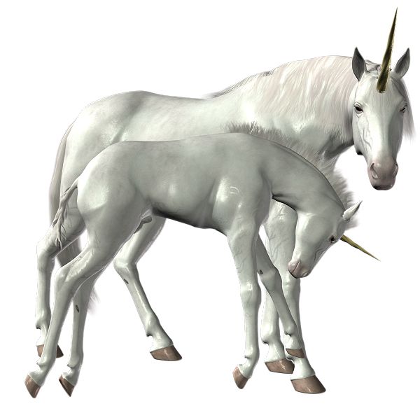 Unicorn PNG    图片编号:24944