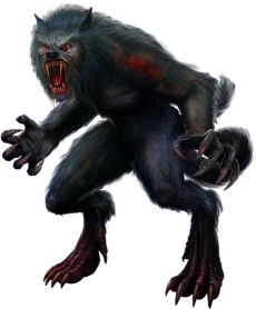 Werewolf PNG    图片编号:62915