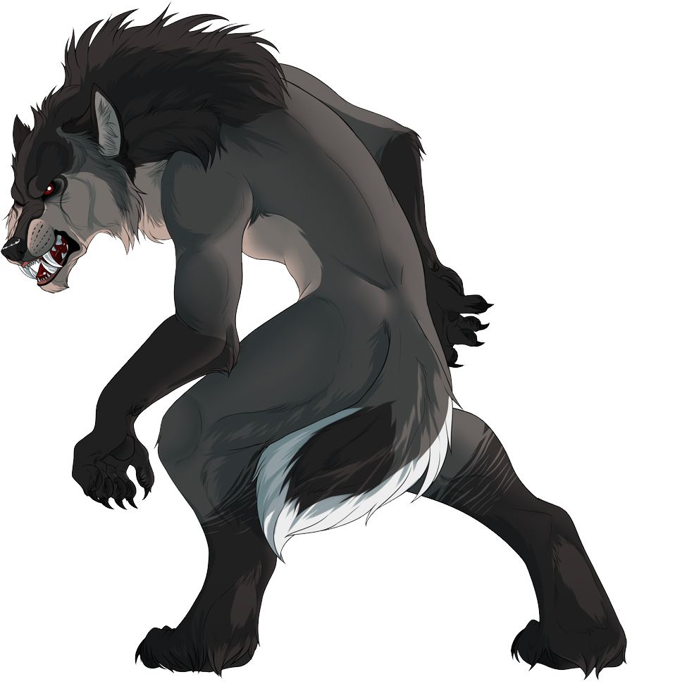 Werewolf PNG    图片编号:62916
