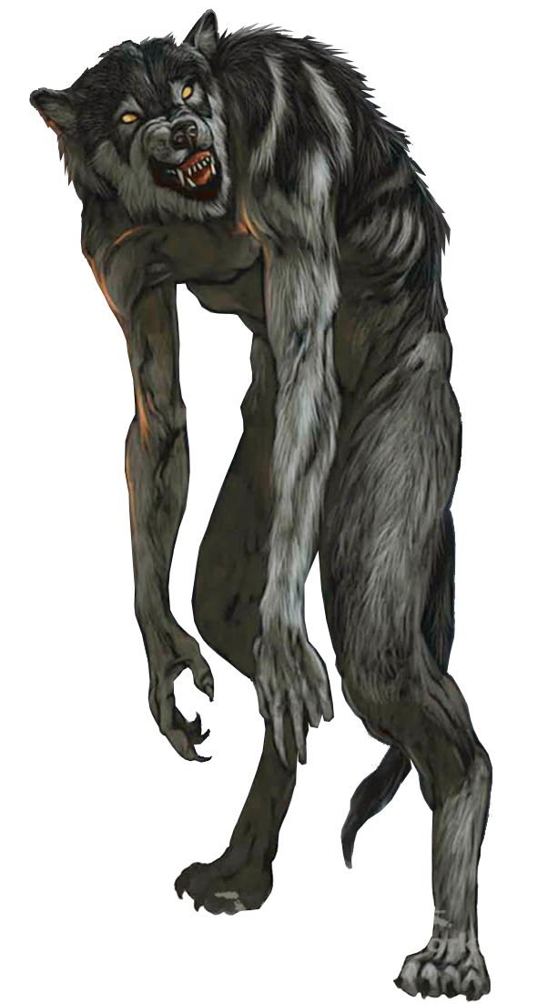 Werewolf PNG    图片编号:62926