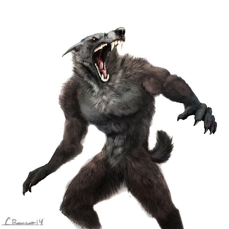 Werewolf PNG    图片编号:62935