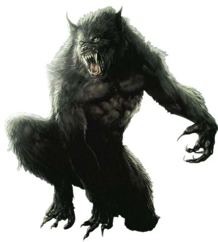 Werewolf PNG    图片编号:62940