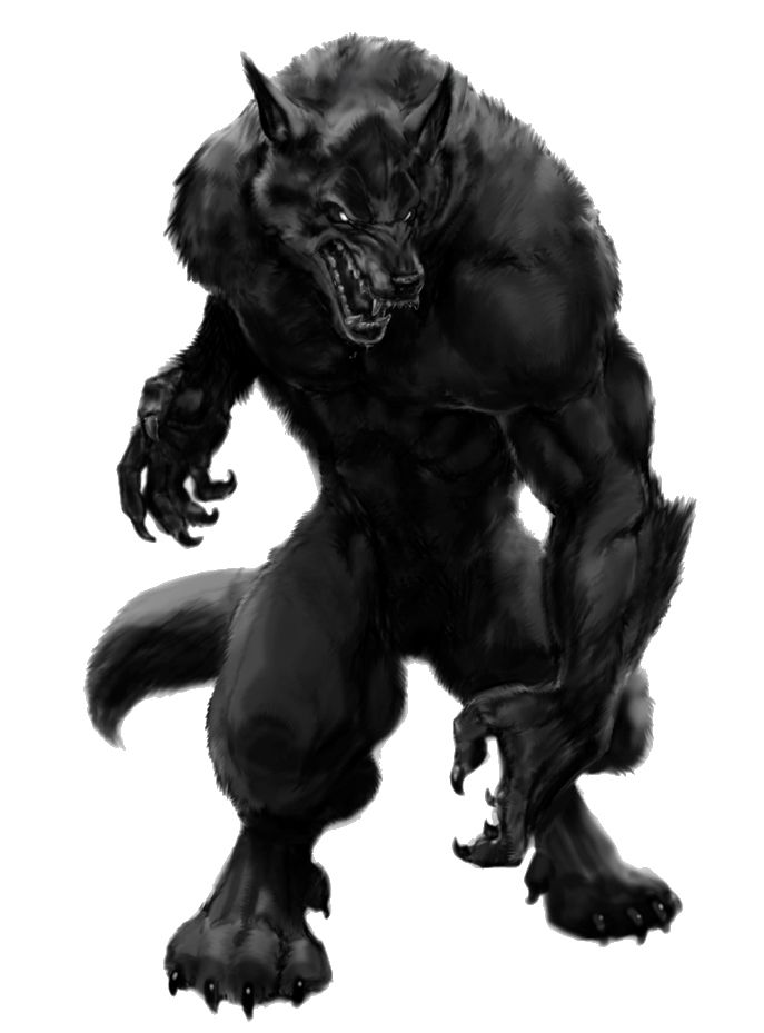 Werewolf PNG    图片编号:62956