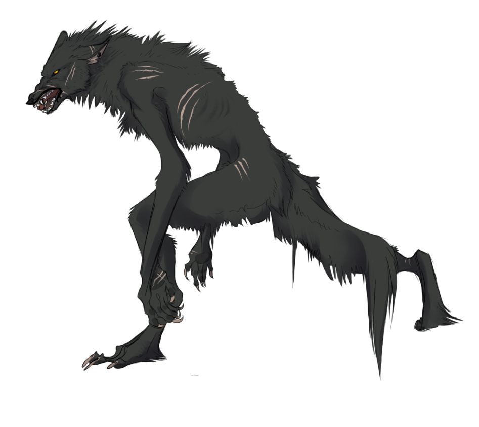 Werewolf PNG    图片编号:62972