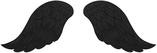 Wings PNG    图片编号:103444