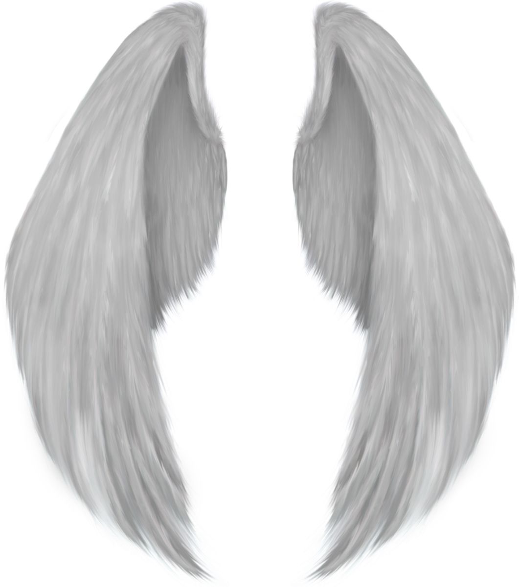Wings PNG    图片编号:103448