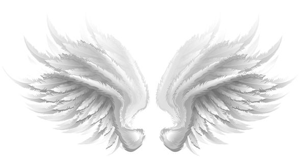 Wings PNG    图片编号:103454
