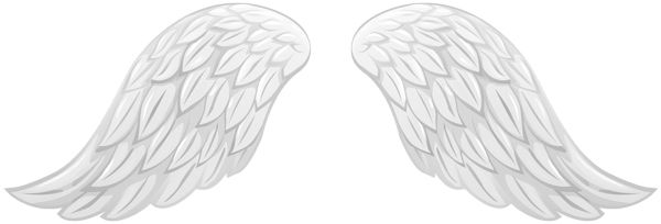 Wings PNG    图片编号:103455