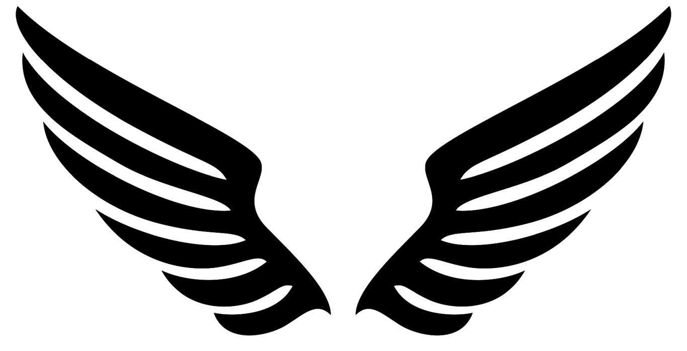 Wings PNG    图片编号:103460