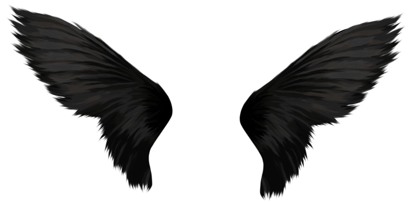 Wings PNG    图片编号:103463
