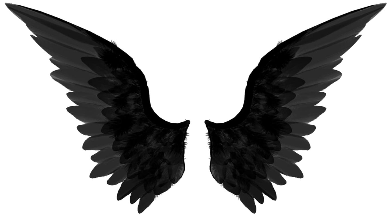 Wings PNG    图片编号:103468