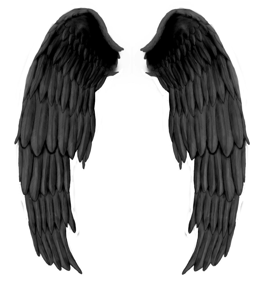 Black evil wings PNG    图片编号:21796