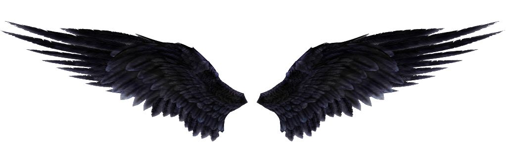 Wings PNG    图片编号:21800