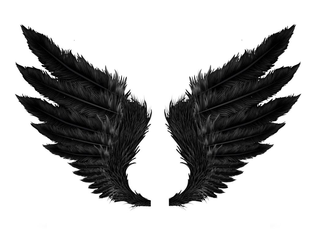 Black evil wings PNG    图片编号:21811