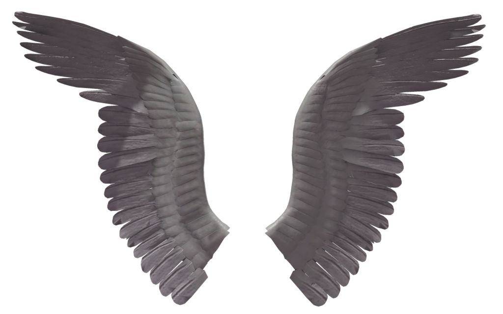 Wings PNG    图片编号:21816