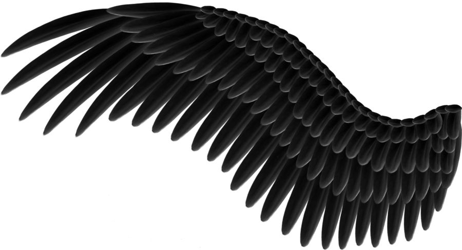 Wings PNG    图片编号:21827