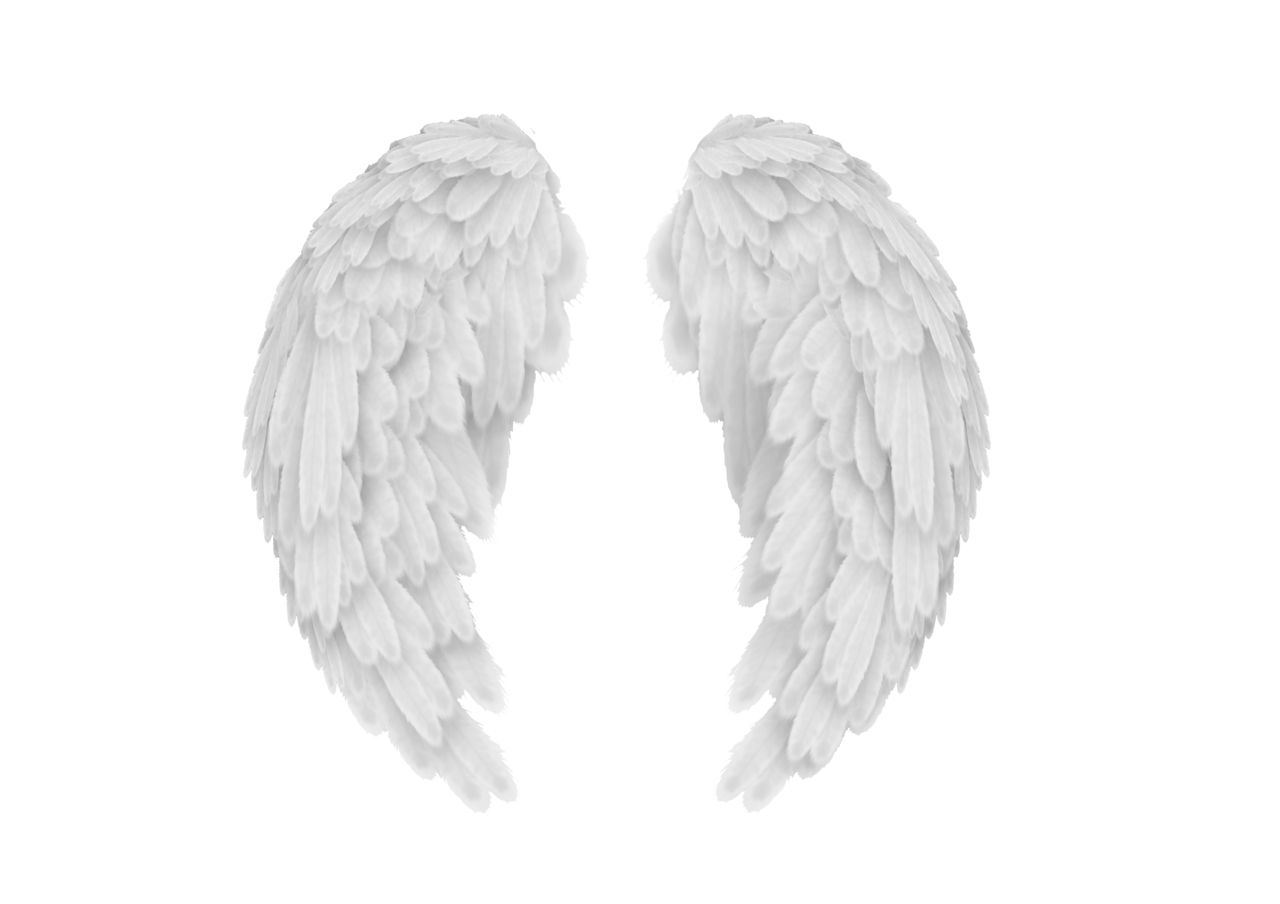 White angel wings PNG    图片编号:21831