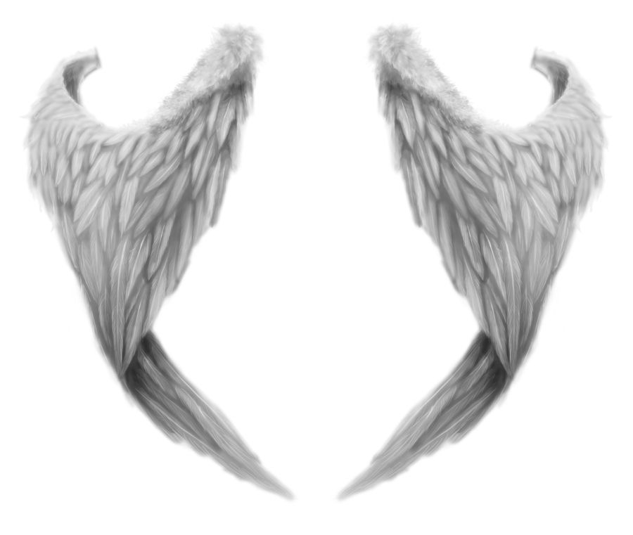 White wings PNG    图片编号:21837