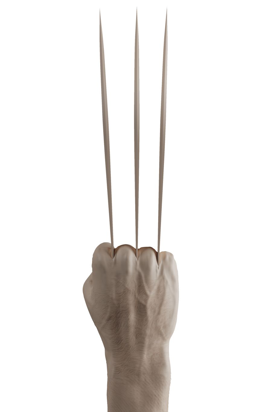 Wolverine claws PNG    图片编号:82302