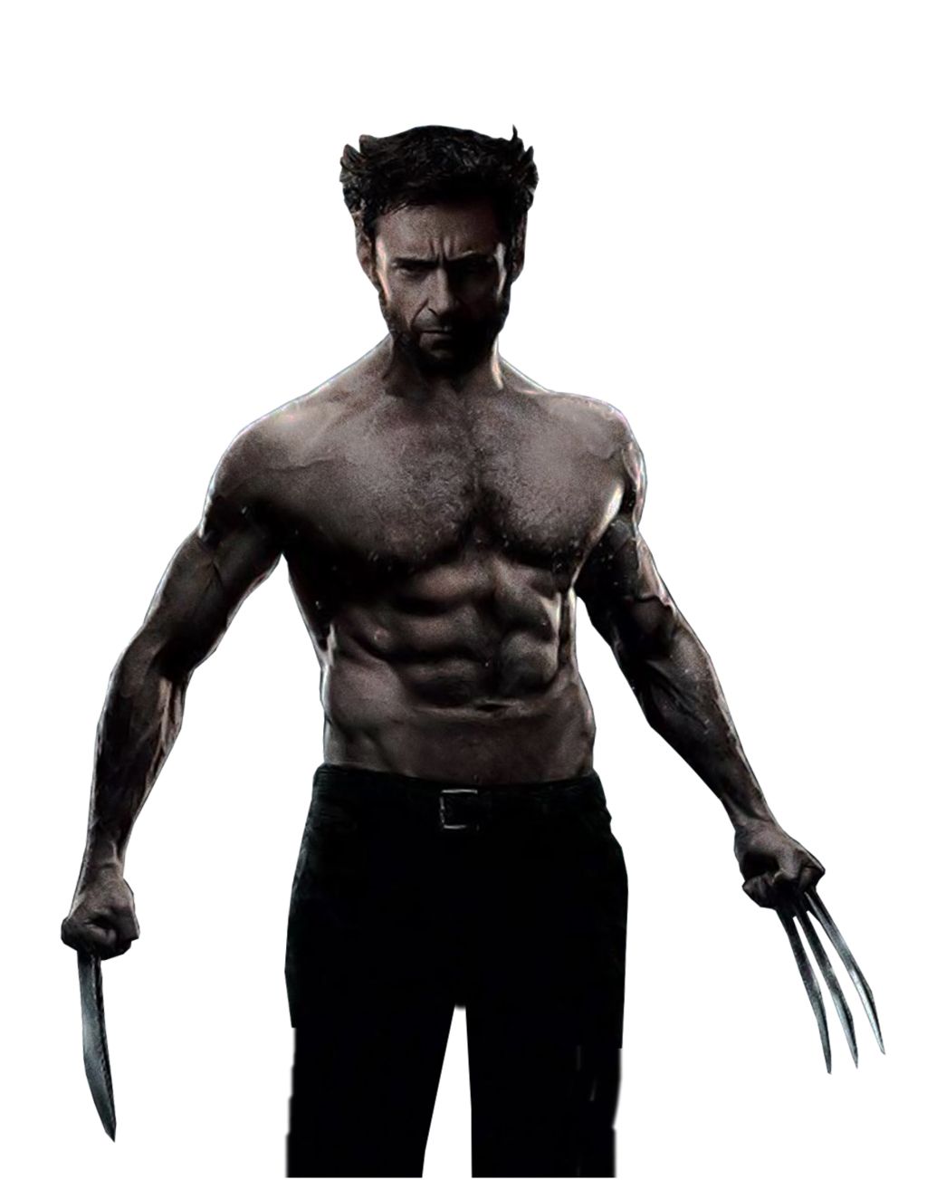 Wolverine PNG    图片编号:82309