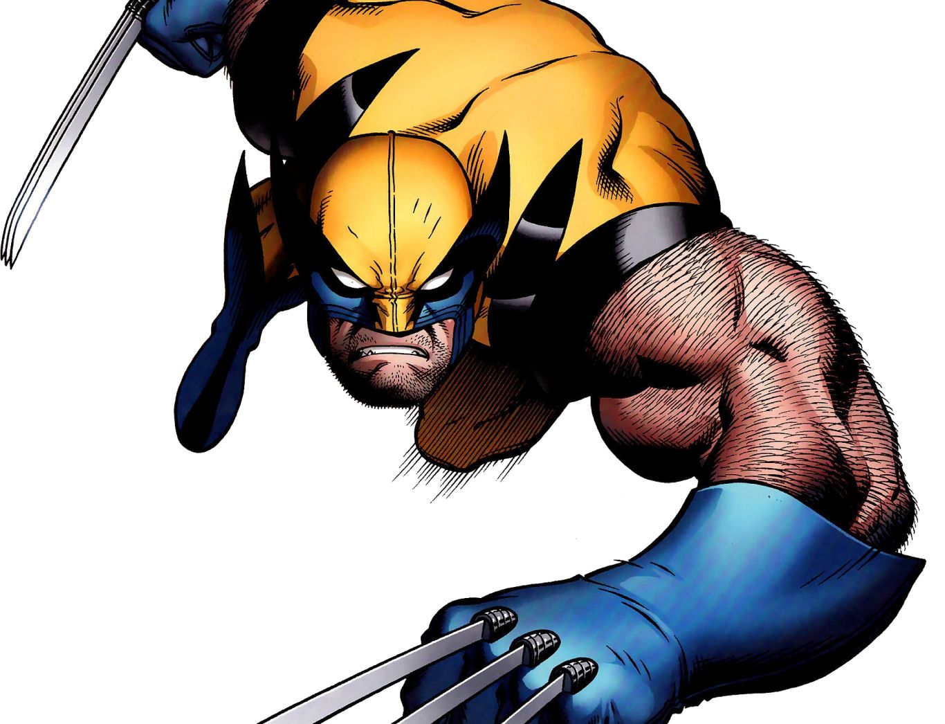 Wolverine PNG    图片编号:82293