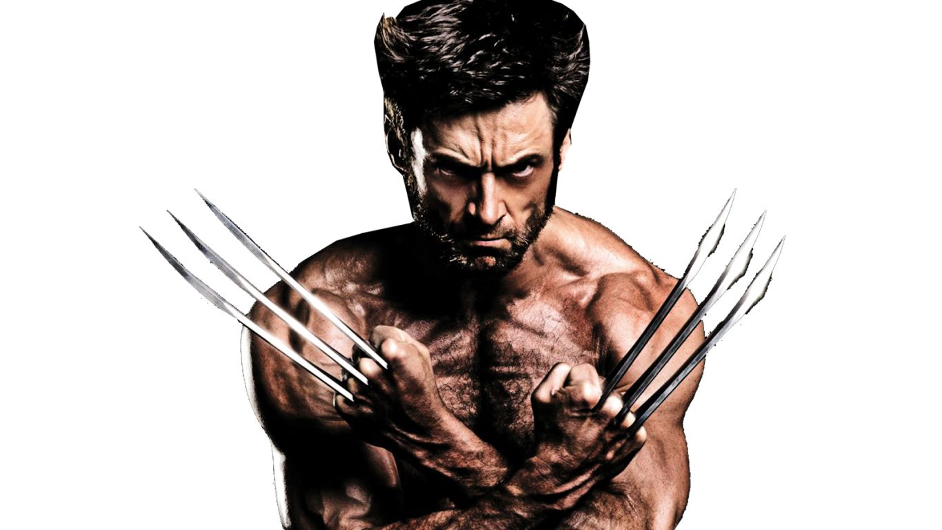 Wolverine PNG    图片编号:82317