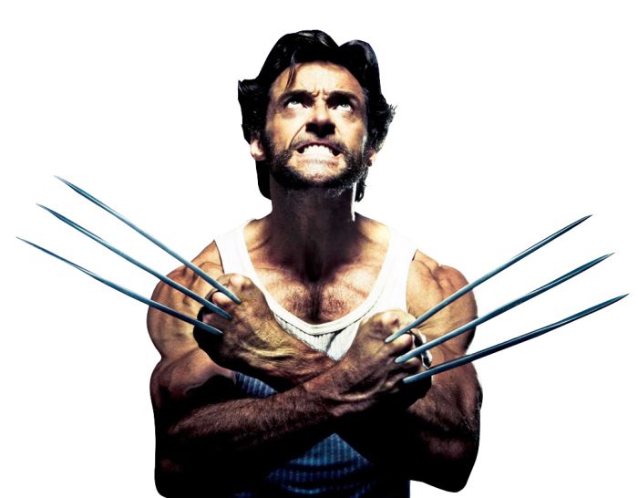 Wolverine PNG    图片编号:82322