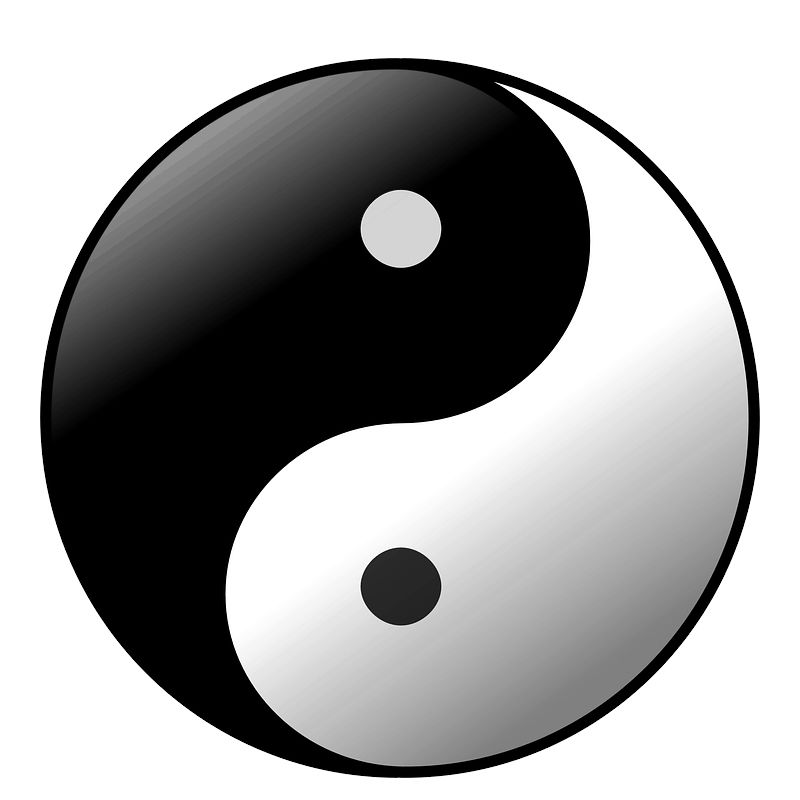 Yin and yang PNG    图片编号:100861
