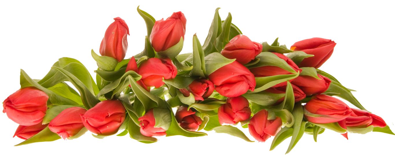 Bouquet flowers PNG    图片编号:21611