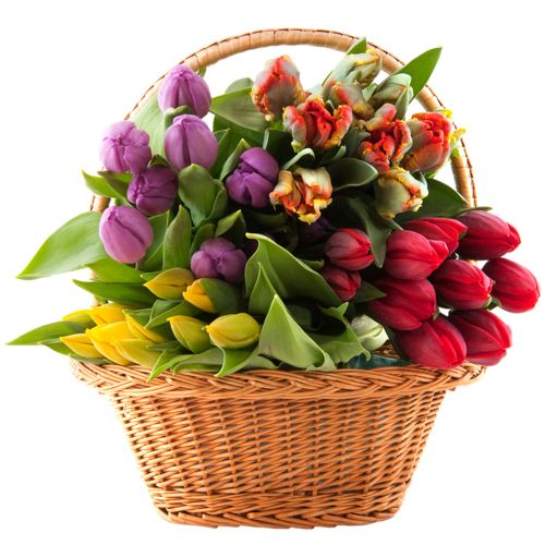 Bouquet flowers PNG    图片编号:21621