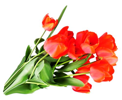 Bouquet flowers PNG    图片编号:21624