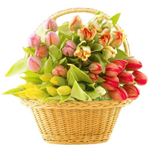 Bouquet flowers PNG    图片编号:21626