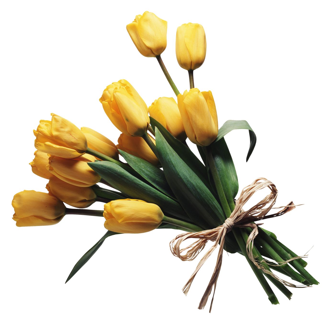 Bouquet flowers PNG    图片编号:21612