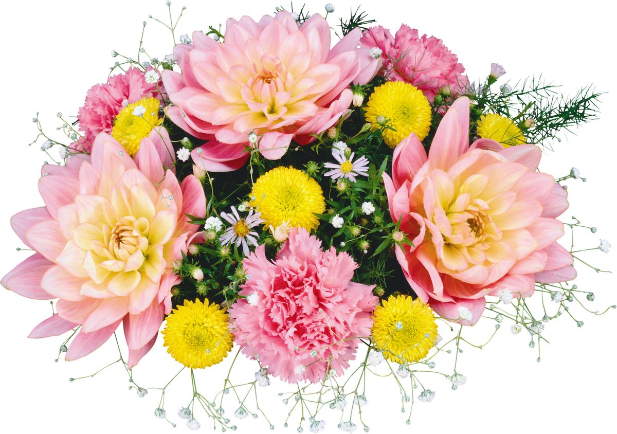 Bouquet flowers PNG    图片编号:21633